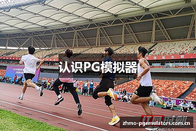 认识PG模拟器